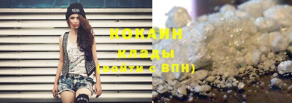 спиды Богданович