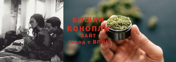 молекула духа Богородск