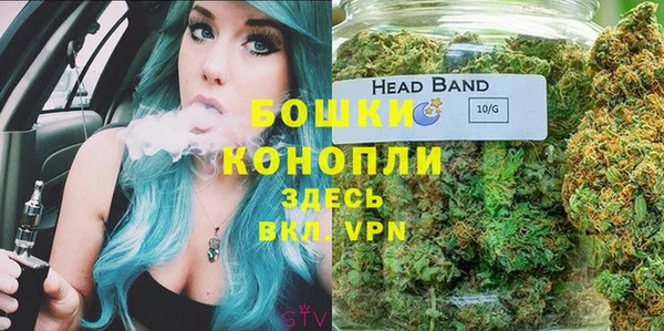 молекула духа Богородск