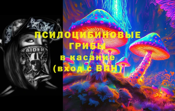 молекула духа Богородск