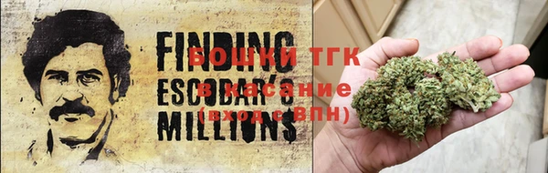 спиды Богданович
