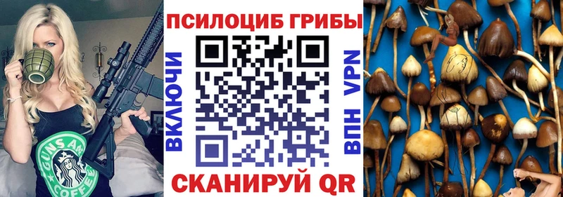 Галлюциногенные грибы Psilocybe  Иркутск 